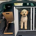Cupra Ateca Ladeboden - Hundebox Version