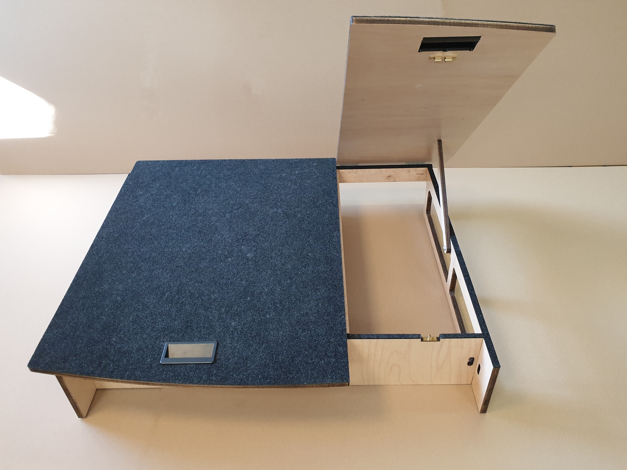 VW Tiguan II  Hundebox Version