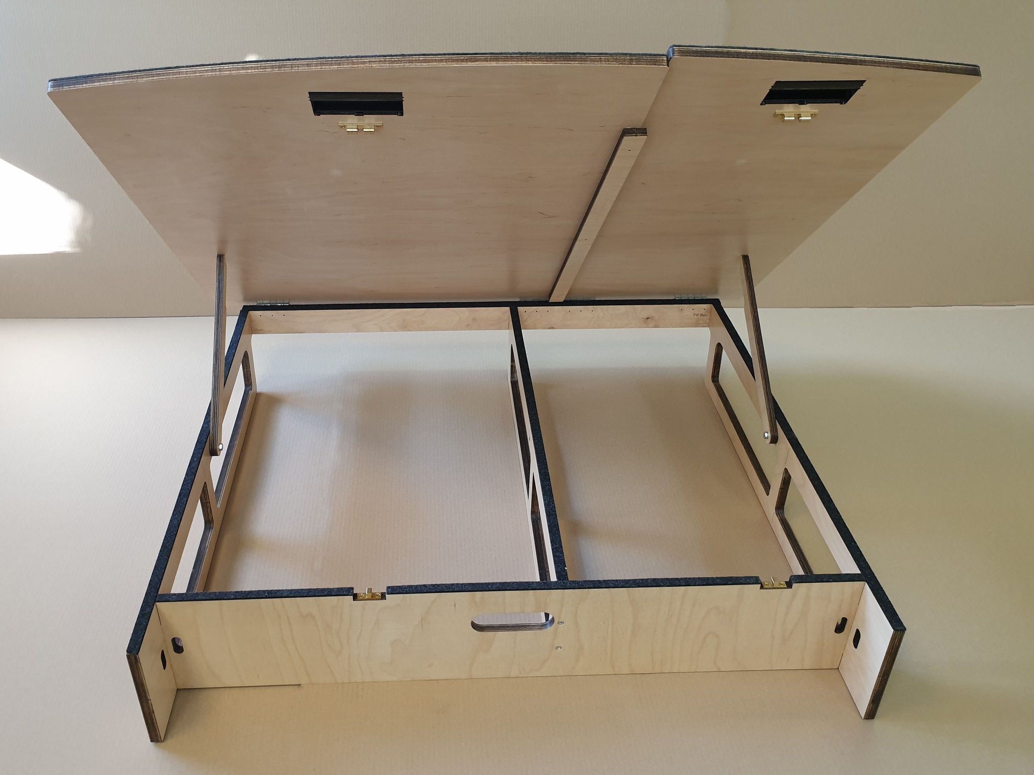 VW Tiguan II  Hundebox Version